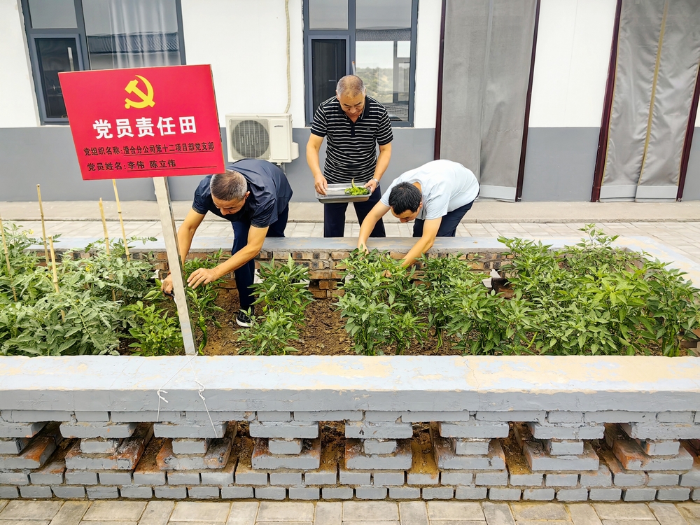 港宝典资料大全